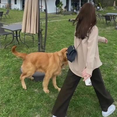 窥机警探侦查事件